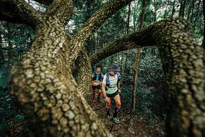 BIB: 
                            <button type="button" onclick="openModal(25393164)" class="btn btn-primary btn-sm float-right btn-popup" data-toggle="modal" data-target=".modal-high-quality">
                        <i class="fas fa-shopping-cart"></i> Add to Cart
                    </button>
                                            <button type="button" onclick="isThisMe(25393164, true)" class="btn btn-success btn-sm float-right btn-popup btn-isme hidden" data-toggle="tooltip" data-placement="bottom" title="นี่คือรูปของคุณใช่ไหม คลิกที่นี่เพื่อเอาเข้าอัลบั้ม">
                        <i class="fas fa-plus"></i> Add to album
                    </button>
                    <button type="button" onclick="isThisMe(25393164, false)" class="btn btn-warning btn-sm float-right btn-popup btn-isnotme hidden">
                        <i class="fas fa-ban"></i> Remove from album
                    </button>